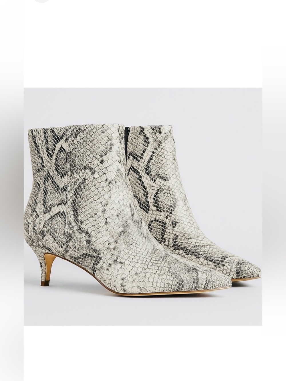 NWT 🛍️ Express Snakeskin Booties